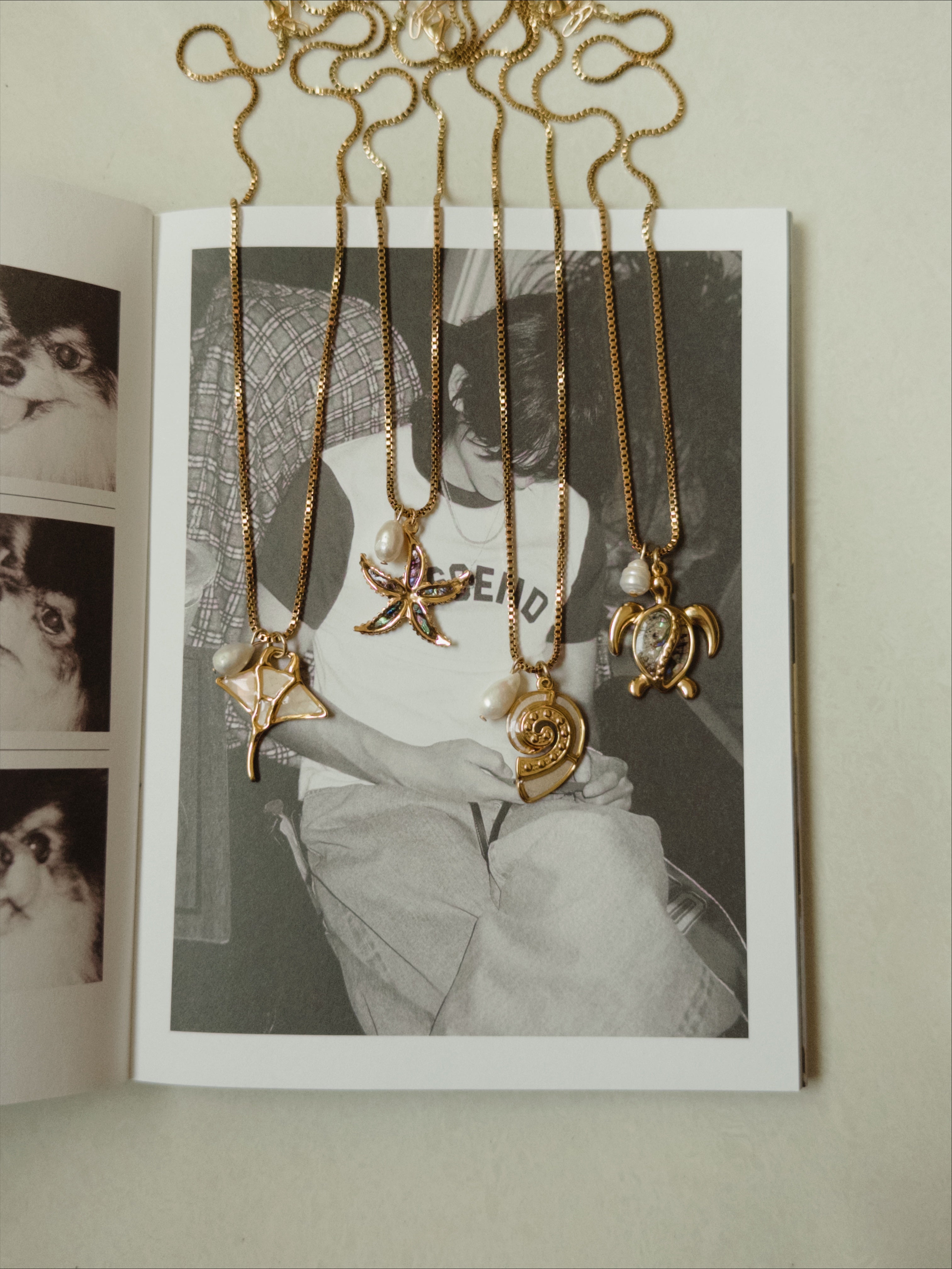 Take me to the beach chain