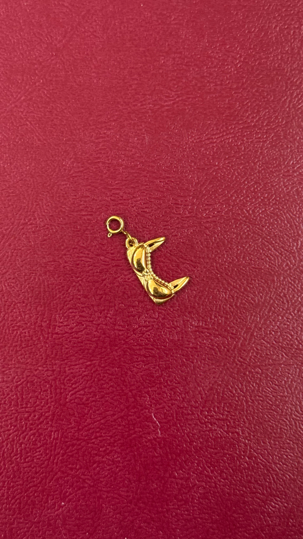 Bikini charm