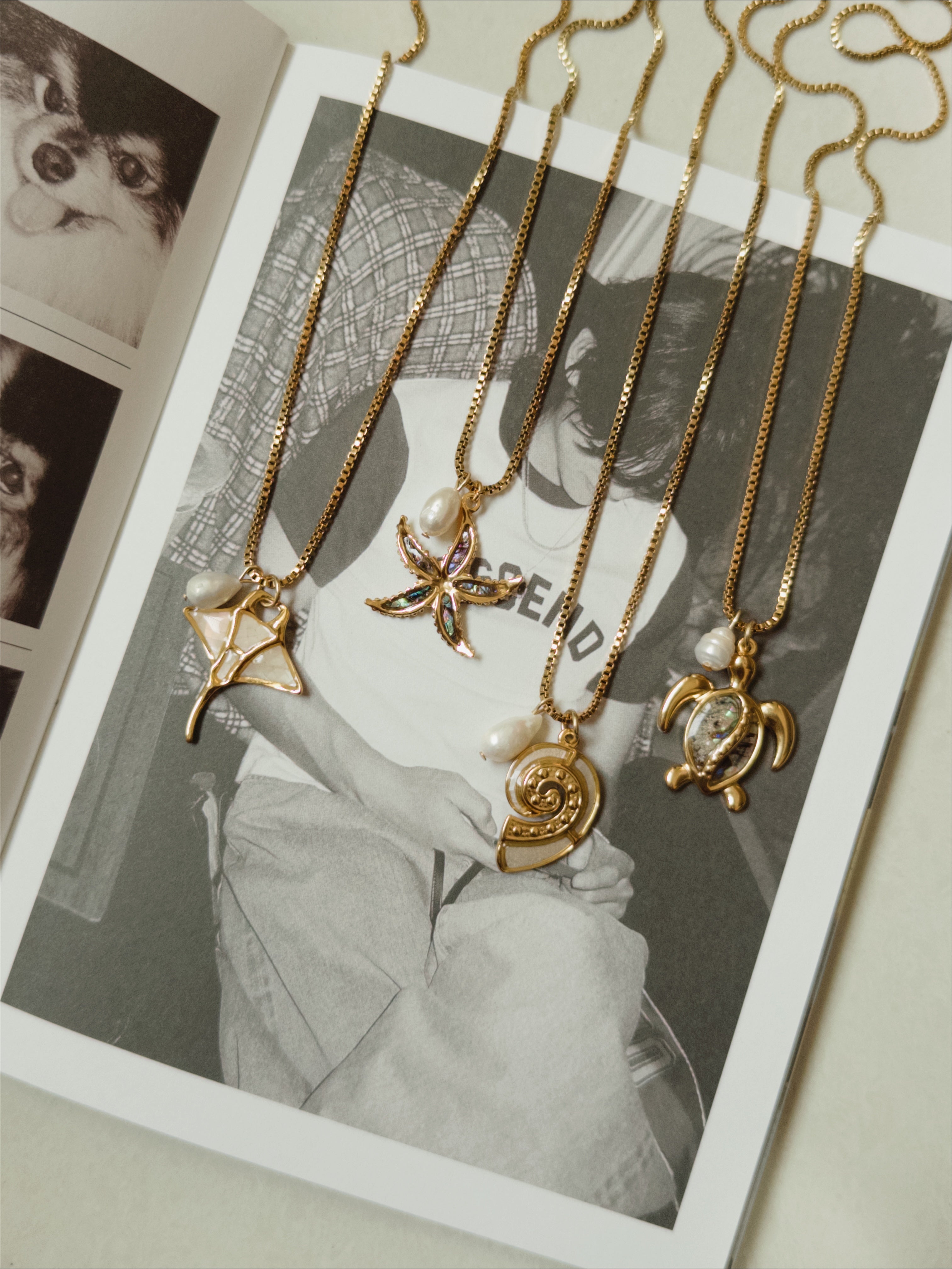 Take me to the beach chain